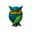 STRIX DOCTUS icon